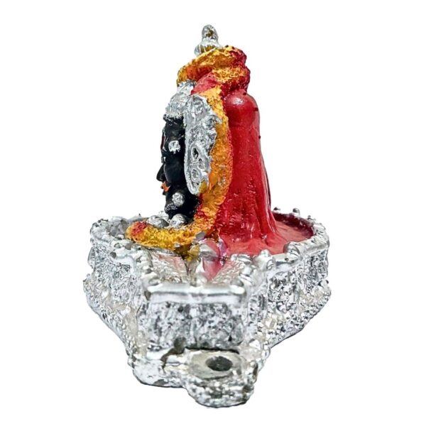 Product 21 - Image 3