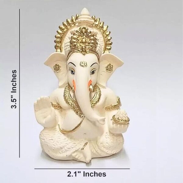 Product 28 - Image 4